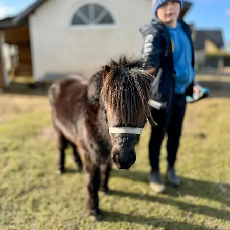 Wakacyjny Karwieńskie Błoto