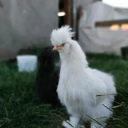 Wakacyjny Appartement Karwieńskie Błoto