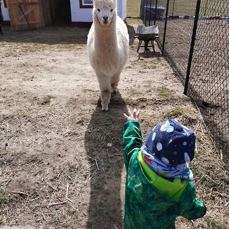 Wakacyjny Karwieńskie Błoto