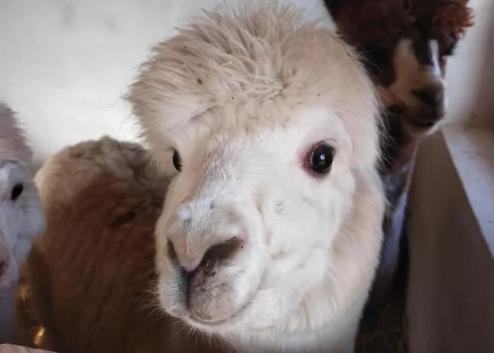 Wakacyjny Karwienskie Bloto