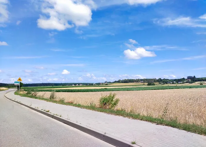 Wakacyjny * Karwienskie Bloto