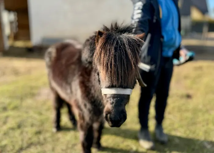 Wakacyjny Karwienskie Bloto