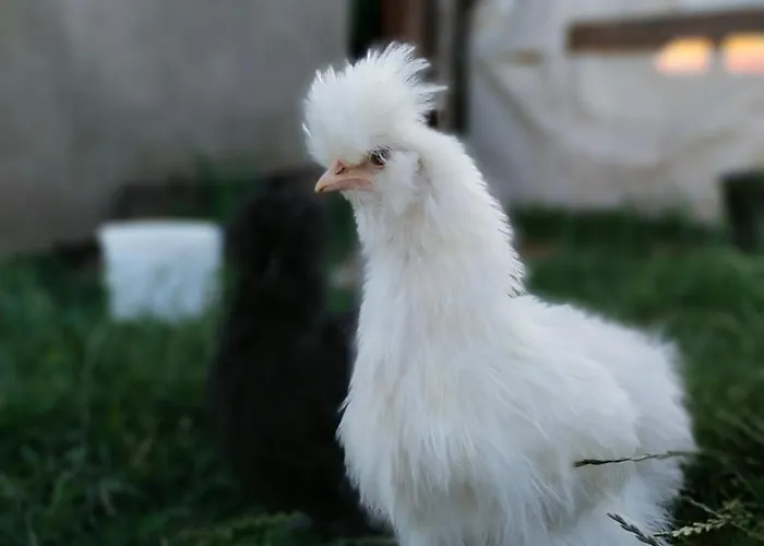 Wakacyjny Апартаменты Karwienskie Bloto