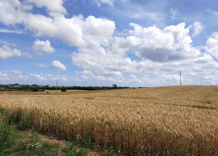 Wakacyjny Karwienskie Bloto