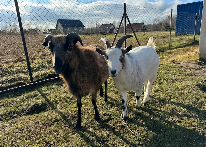 Wakacyjny Апартаменты