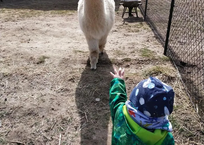 Wakacyjny Karwienskie Bloto