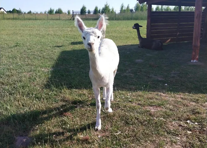 Wakacyjny Апартаменты Karwienskie Bloto