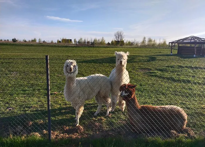 Апартаменты Wakacyjny *